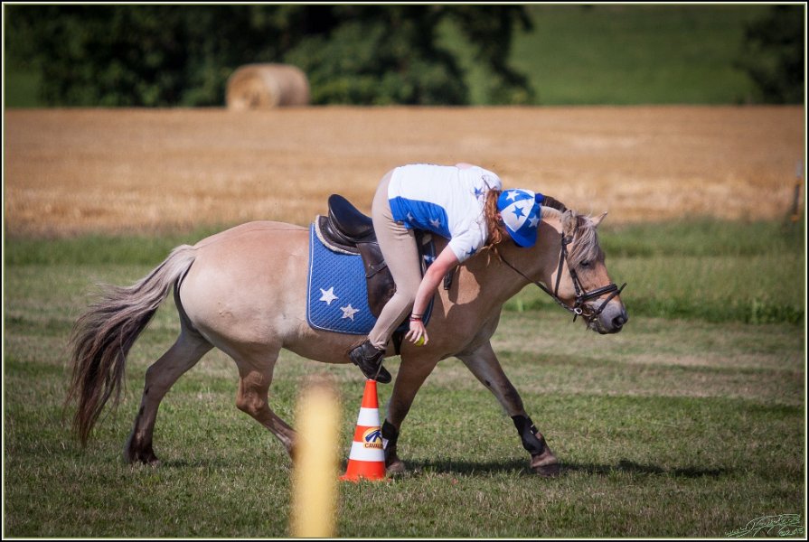 Mounted Games 318